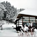 눈꽃초밥 이미지