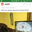 래딧