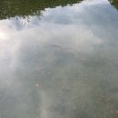 월광수변공원주차장 이미지