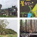 머체왓숲길영농조합법인 이미지