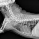 24시프라임동물병원 이미지