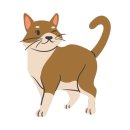 경산약국 이미지