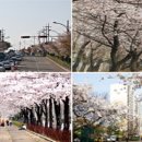 문화예술회관 진입로 이미지