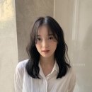 다운플라워 이미지