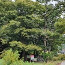 운학동 돌무지군 이미지