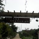 화가마을 이미지