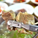 밀림식당 이미지