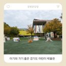 둥지박물관 | 경기도 어린이 박물관 돌쟁이 아기와 다녀온 내돈내산 후기