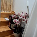 보람동_해들510동 | 내 몸과 얼굴, 제대로 리셋하는 시간! 보람동에스테틱 속 힐링 스팟 발견했어요