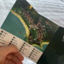 토리메드 이미지