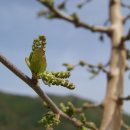 산속의친구 이미지