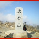 태백고속관광(주)