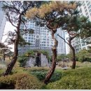 건설부동산원베일리공인중개사사무소 이미지