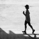 평화로운세상 이미지