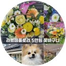 [회기/경희대꽃집] 라르떼플로라 5만원 꽃바구니