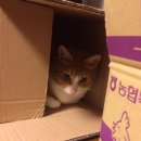 행복나눔동물병원 이미지