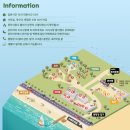 씨사이드힐 | [인천/강화] 오션뷰 캠핑장 &#34;씨사이드힐 캠핑장&#34; 파인 1 후기