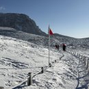 제주소요 이미지