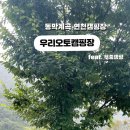 우리오토 이미지