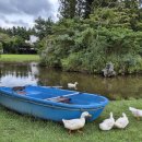 최씨농장 이미지