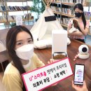 펫케어 티스토리