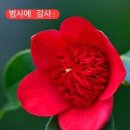 좋은사람들