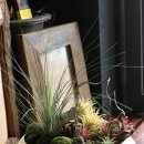 플라워&홈가드닝 이미지