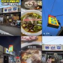 이집이야 이미지