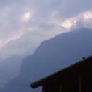 옥룡숲속의아침 이미지