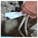별개 | 서울 양천구 누수탐지,주택 2층 누수탐지, 욕실 벽체 배관누수 정확하게 해결한 현장