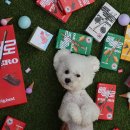 놀러오개 애견유치원 애견호텔 운정신도시점 | 파주 다율동 애견호텔 놀러오개 애견유치원 애견호텔 운정신도시점 비용 시간 위치