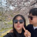 카페길 - 유성구 복용남로 43-12 | 🌸 광주 벚꽃 명소 카페｜벚꽃길 산책 후 방문한 ‘클레망’ 후기 ☕💛