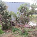 단풍농장 이미지