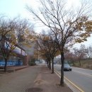 안중터미널 이미지