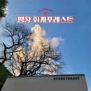 평창물소리펜션 | 평창 휘게포레스트 캠핑장 5월 후기ㅣA구역 8번 사이트 추천 시설 예약 정보