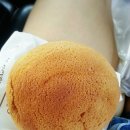 왕대포민박 | 한달전.../여수+통영 여행기~