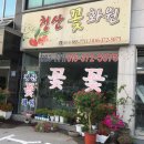 청산화원 이미지