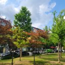 삼원로-2 이미지