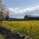 제주현대미술관 이미지