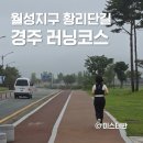 월성상회 | 경주 러닝코스 황리단길 월성지구 5km 모닝런 추천