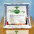 에이피텍 이미지