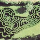 미로정원 이미지