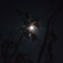 (주)한가위 이미지