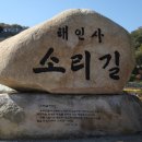 해인사 소리길 이미지