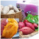 인해농원 | 여주고구마 여주능서농원 달콤한 호박고구마 5kg 시식후기 겨울철 고구마 보관방법