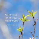 화요일 이미지
