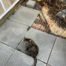 신산1리마을회관 이미지