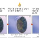 레인드롭