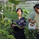 전라남도 농업기술원 과수연구소 이미지