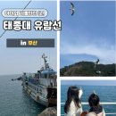 은하수 | 태종대 유람선 할인 꿀팁｜여행특공대 티켓으로 아이와 즐긴 은하수유람선 후기